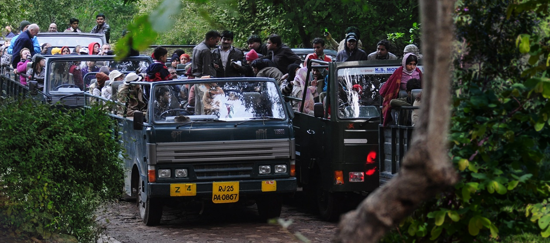 Ranthambore Canter Safari